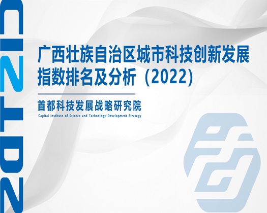 bb被草啊啊啊啊啊疼舒服【成果发布】广西壮族自治区城市科技创新发展指数排名及分析（2022）